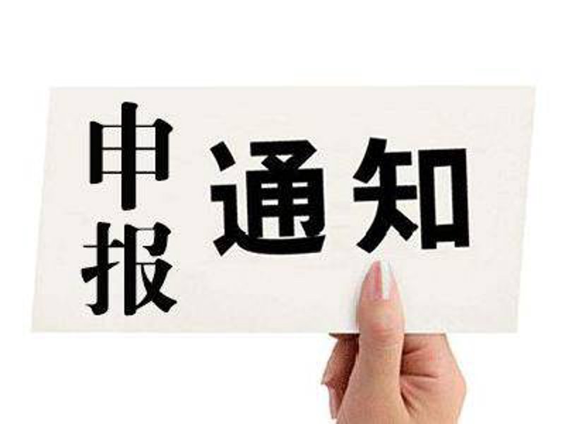 项目申报的最新动态与实用指南
